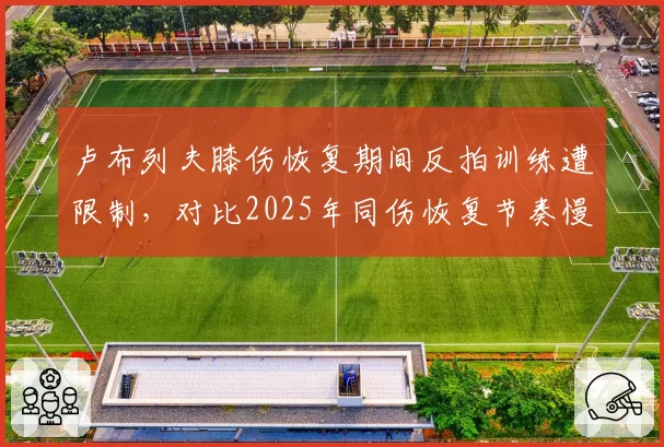 卢布列夫膝伤恢复期间反拍训练遭限制，对比2025年同伤恢复节奏慢22%，俄罗斯猛将硬地赛季竞争力下滑__br_