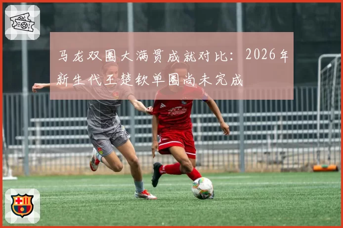 马龙双圈大满贯成就对比：2026年新生代王楚钦单圈尚未完成