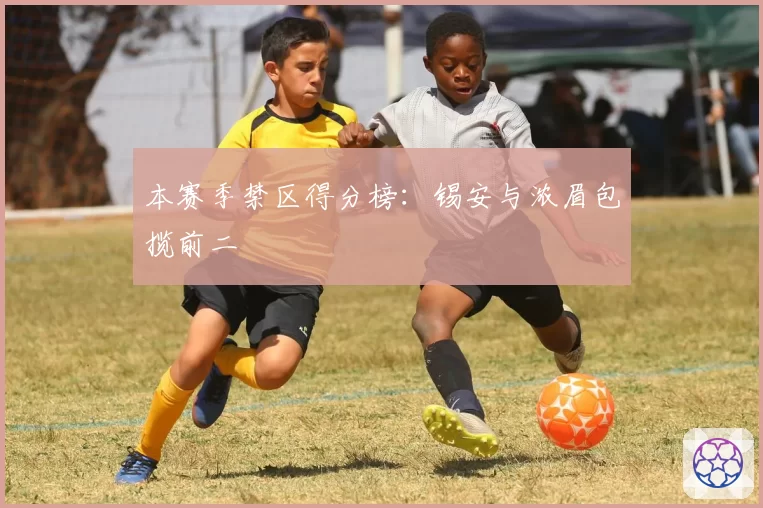 本赛季禁区得分榜：锡安与浓眉包揽前二